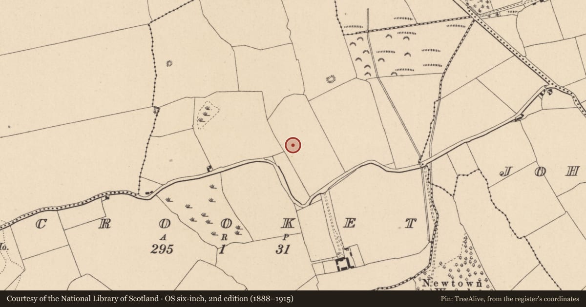 Ordnance Survey six-inch map, 2nd edition (1888–1915) covering the location of Ring-ditch, Crooket, County Kildare, with a pin at the register's coordinates