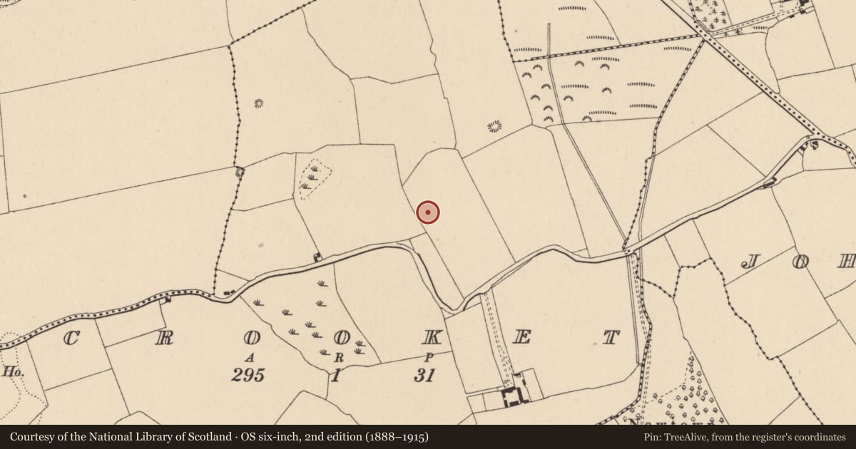 Ordnance Survey six-inch map, 2nd edition (1888–1915) covering the location of Enclosure, Crooket, County Kildare, with a pin at the register's coordinates
