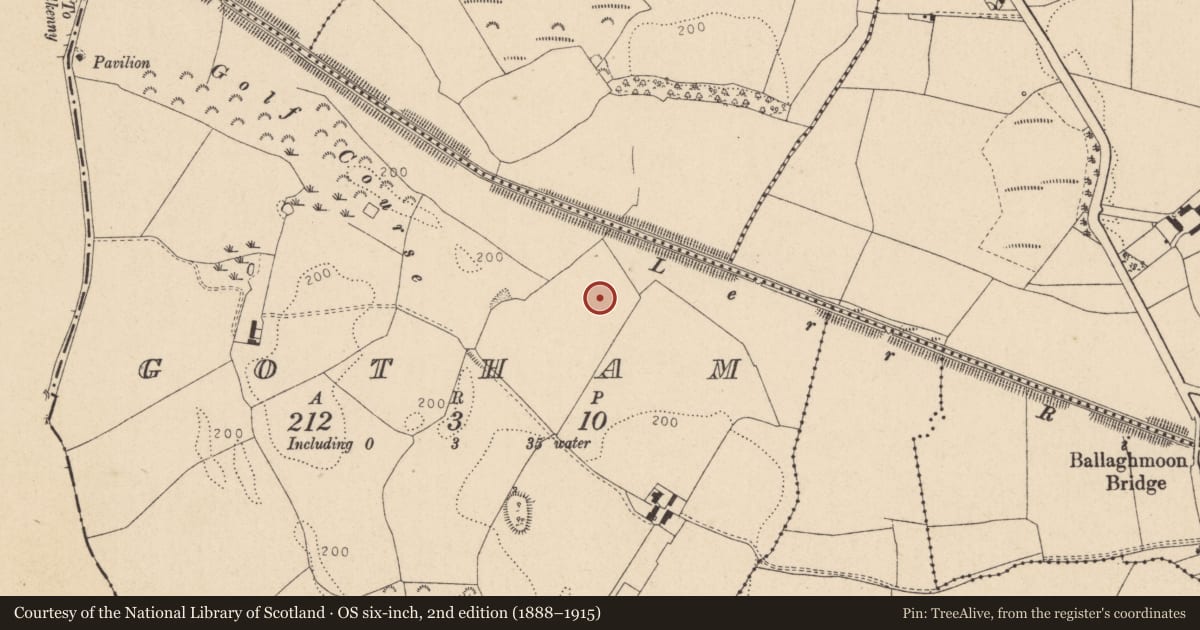 Ordnance Survey six-inch map, 2nd edition (1888–1915) covering the location of Moated site, Gotham, County Kildare, with a pin at the register's coordinates