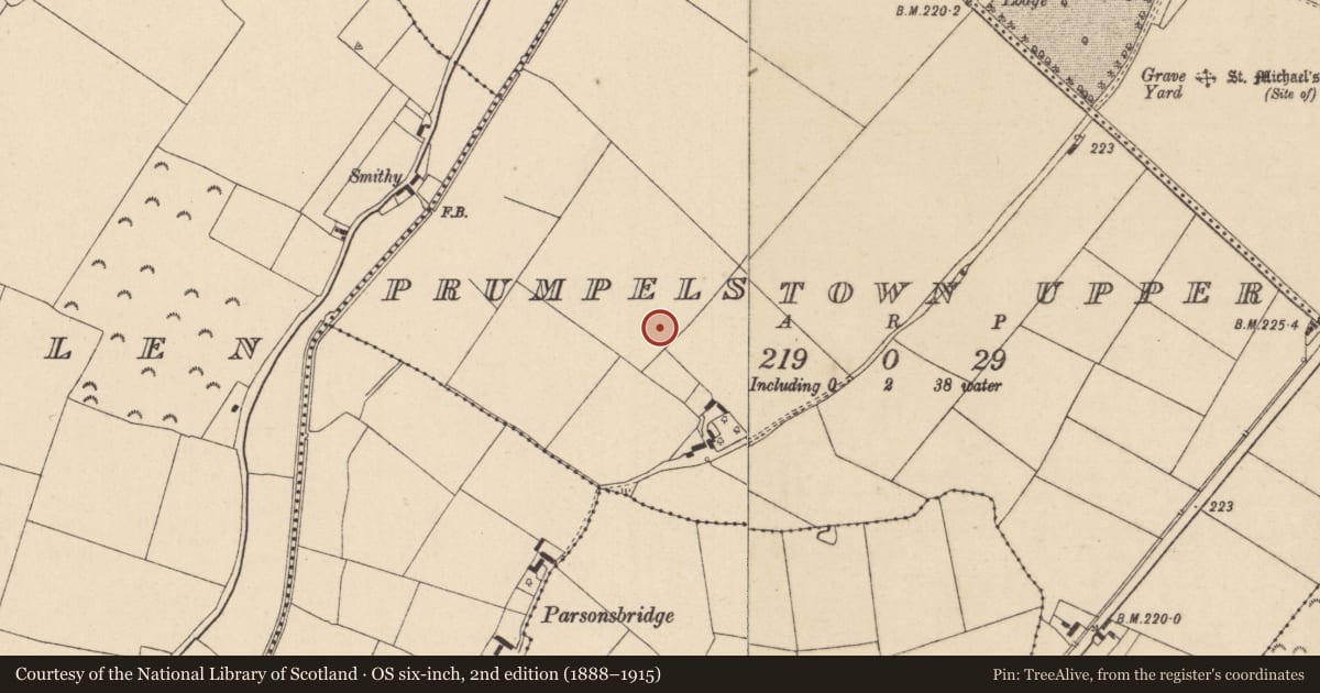 Ordnance Survey six-inch map, 2nd edition (1888–1915) covering the location of Ring-ditch, Prumpelstown Upper, County Kildare, with a pin at the register's coordinates