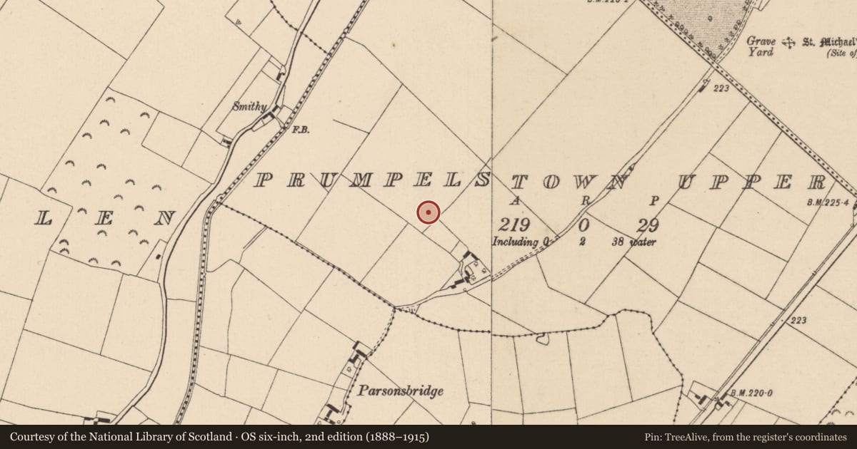 Ordnance Survey six-inch map, 2nd edition (1888–1915) covering the location of Ring-ditch, Prumpelstown Upper, County Kildare, with a pin at the register's coordinates