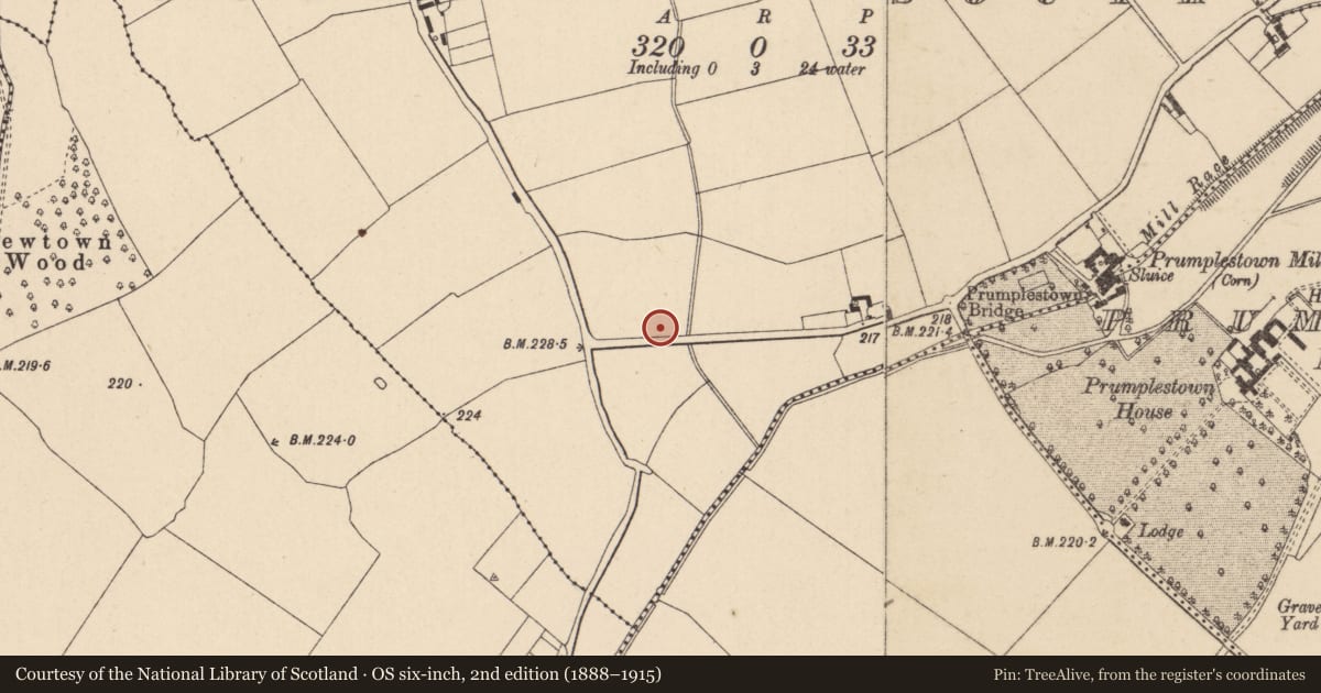 Ordnance Survey six-inch map, 2nd edition (1888–1915) covering the location of Enclosure, Johnstown South, County Kildare, with a pin at the register's coordinates
