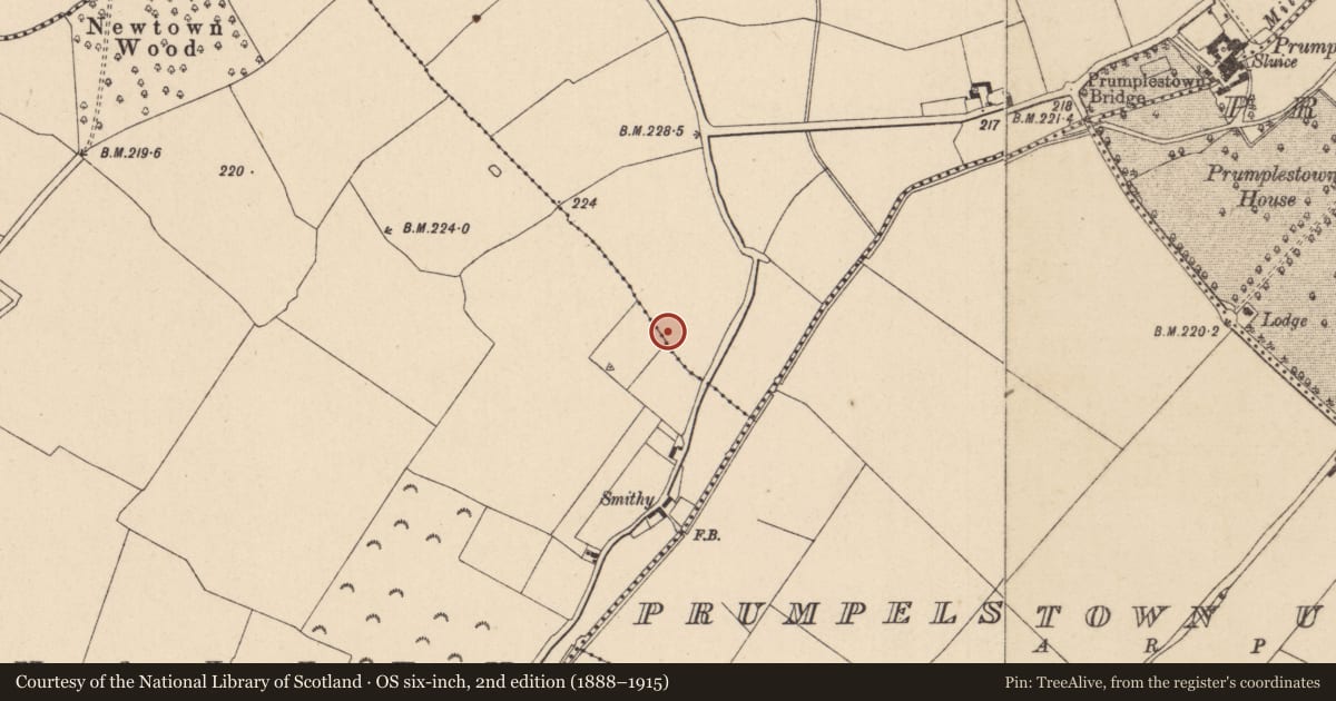 Ordnance Survey six-inch map, 2nd edition (1888–1915) covering the location of Ring-ditch, Johnstown South, County Kildare, with a pin at the register's coordinates