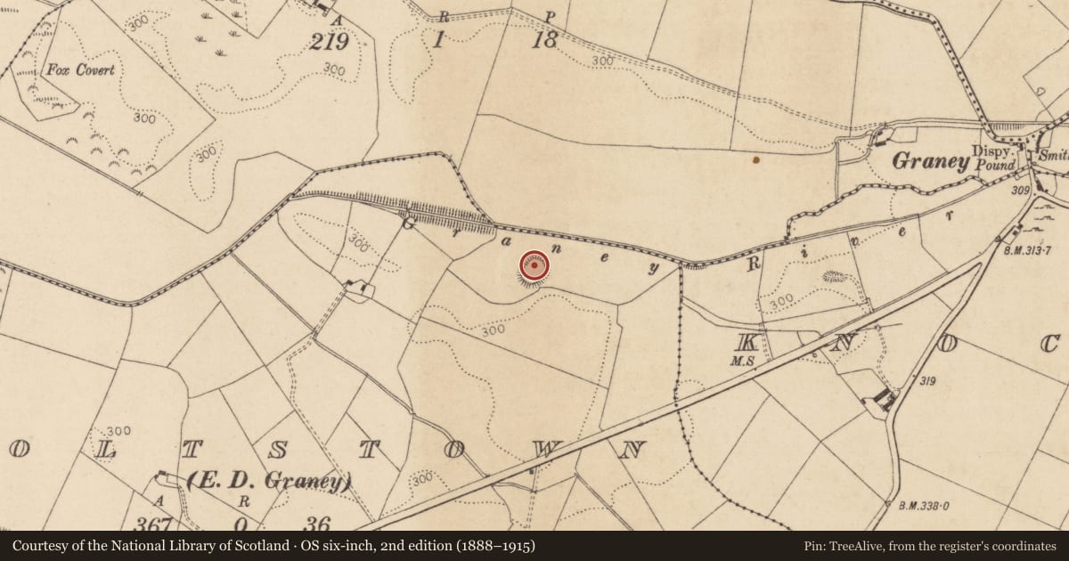 Ordnance Survey six-inch map, 2nd edition (1888–1915) covering the location of Ringfort - rath, Coltstown, County Kildare, with a pin at the register's coordinates