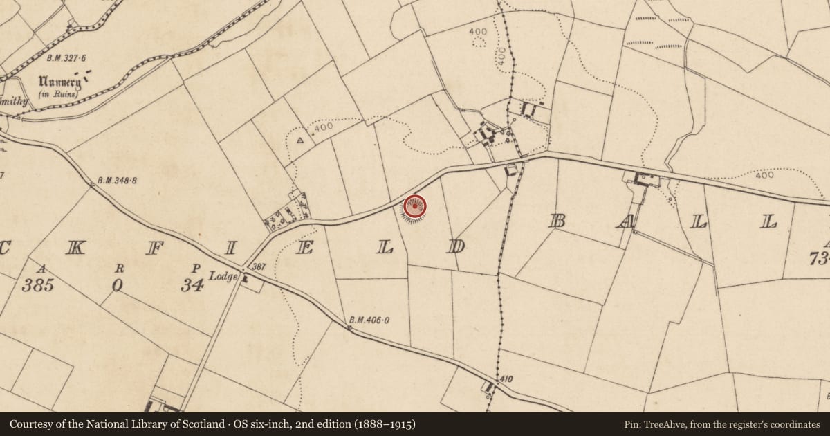 Ordnance Survey six-inch map, 2nd edition (1888–1915) covering the location of Ringfort - rath, Knockfield, County Kildare, with a pin at the register's coordinates