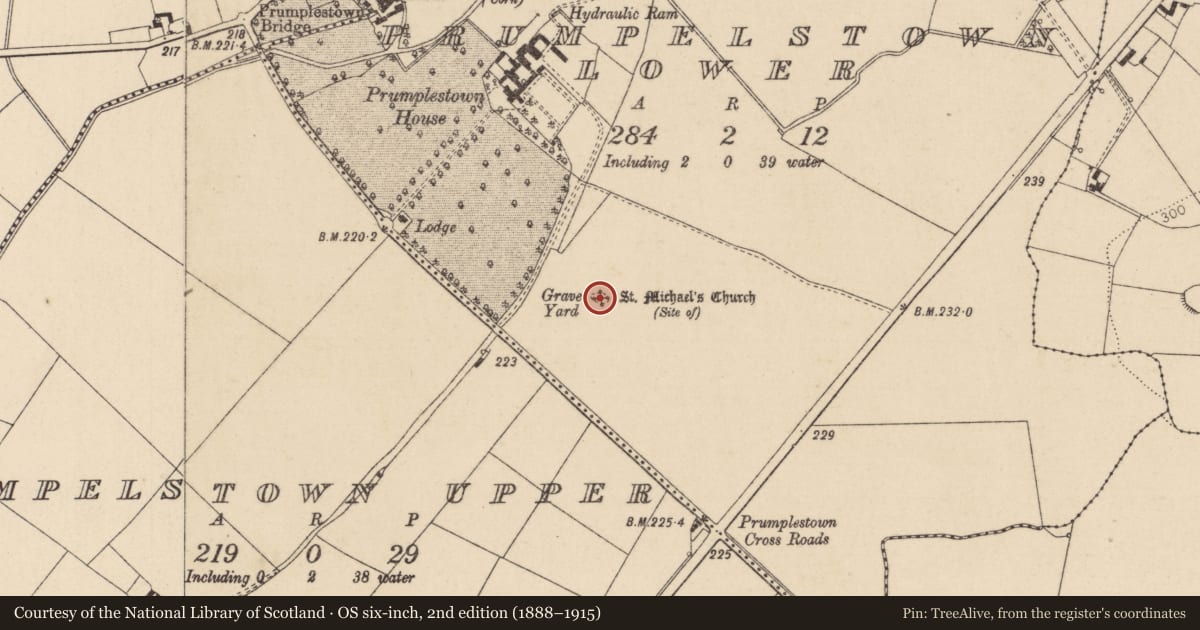Ordnance Survey six-inch map, 2nd edition (1888–1915) covering the location of Church, Prumpelstown Lower, County Kildare, with a pin at the register's coordinates