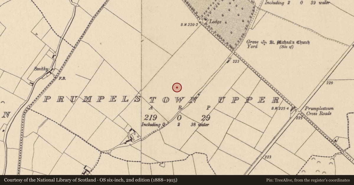 Ordnance Survey six-inch map, 2nd edition (1888–1915) covering the location of Enclosure, Prumpelstown Upper, County Kildare, with a pin at the register's coordinates