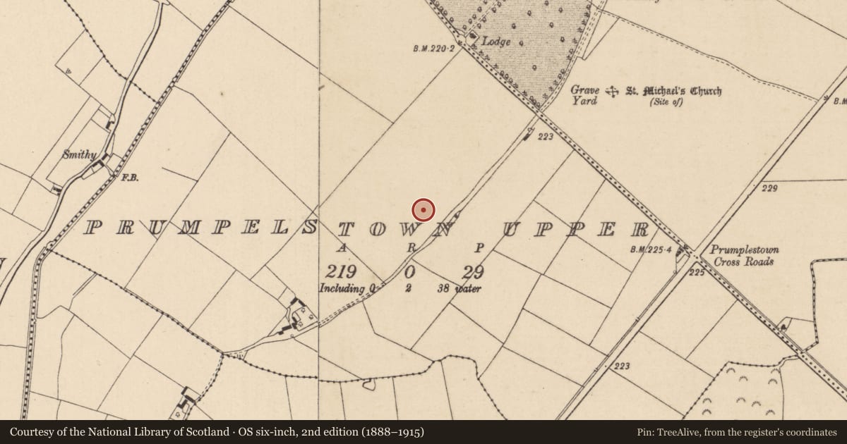 Ordnance Survey six-inch map, 2nd edition (1888–1915) covering the location of Enclosure, Prumpelstown Upper, County Kildare, with a pin at the register's coordinates