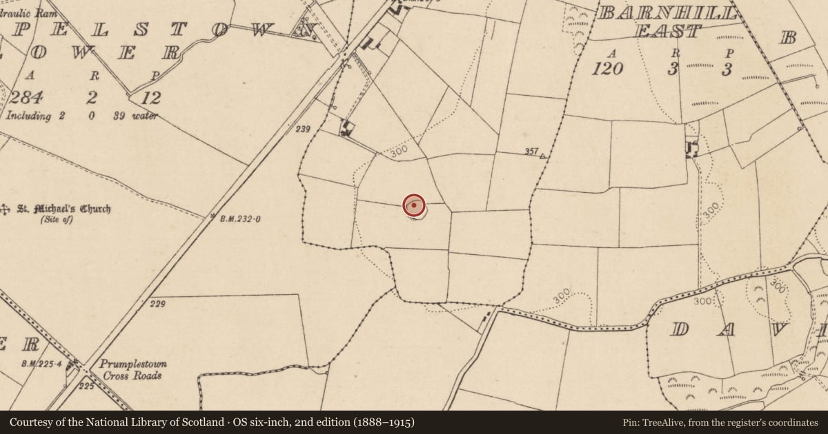 Ordnance Survey six-inch map, 2nd edition (1888–1915) covering the location of Ringfort - rath, Barnhill West, County Kildare, with a pin at the register's coordinates