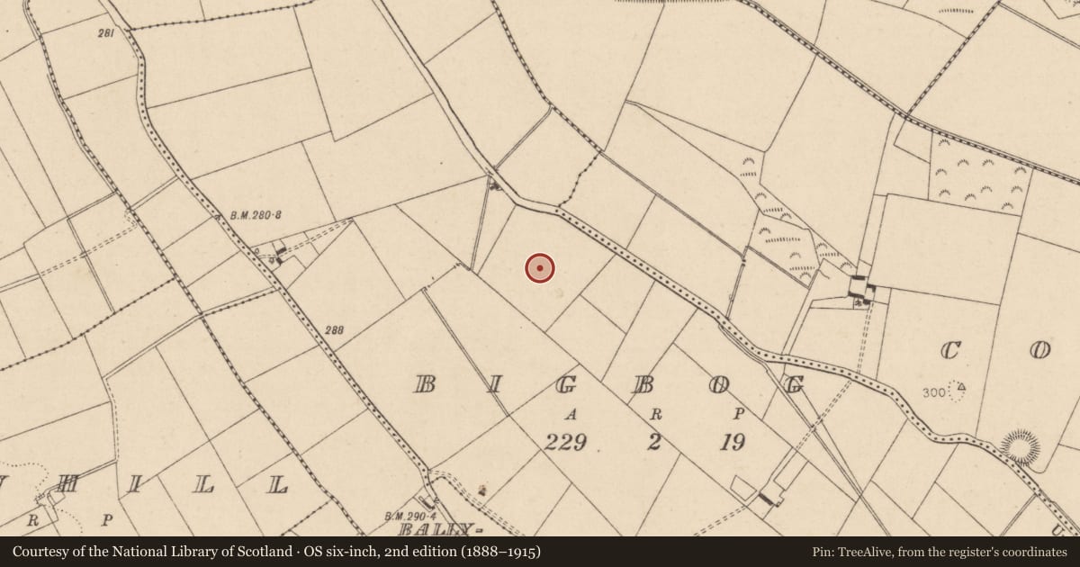 Ordnance Survey six-inch map, 2nd edition (1888–1915) covering the location of Enclosure, Bigbog, County Kildare, with a pin at the register's coordinates