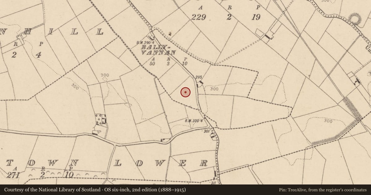 Ordnance Survey six-inch map, 2nd edition (1888–1915) covering the location of Enclosure, Ballyvannan, County Kildare, with a pin at the register's coordinates