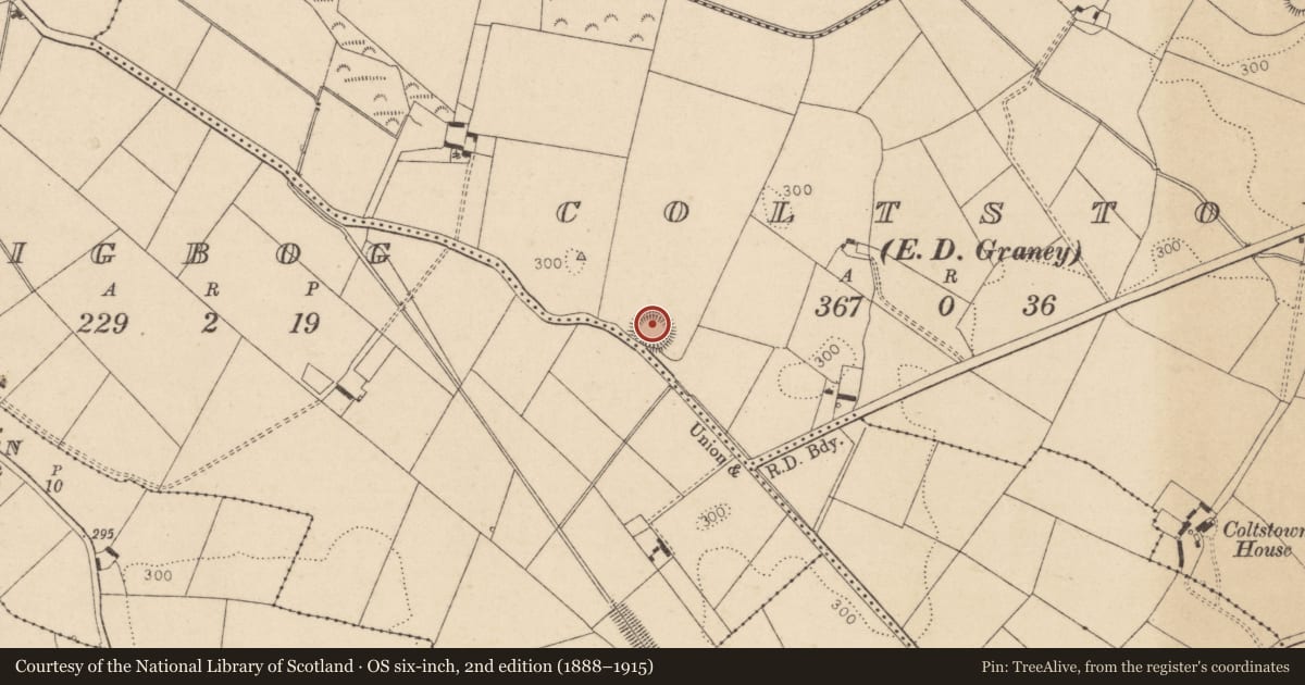 Ordnance Survey six-inch map, 2nd edition (1888–1915) covering the location of Ringfort - rath, Coltstown, County Kildare, with a pin at the register's coordinates