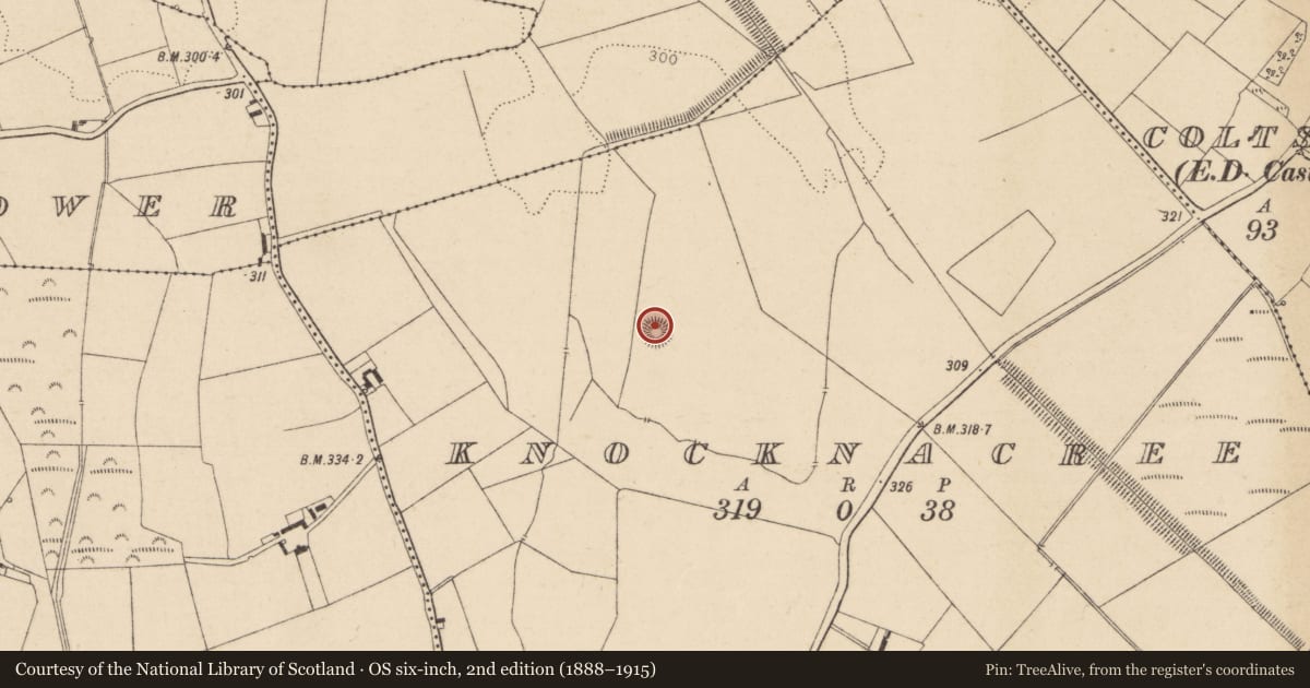Ordnance Survey six-inch map, 2nd edition (1888–1915) covering the location of Ringfort - rath, Knocknacree, County Kildare, with a pin at the register's coordinates