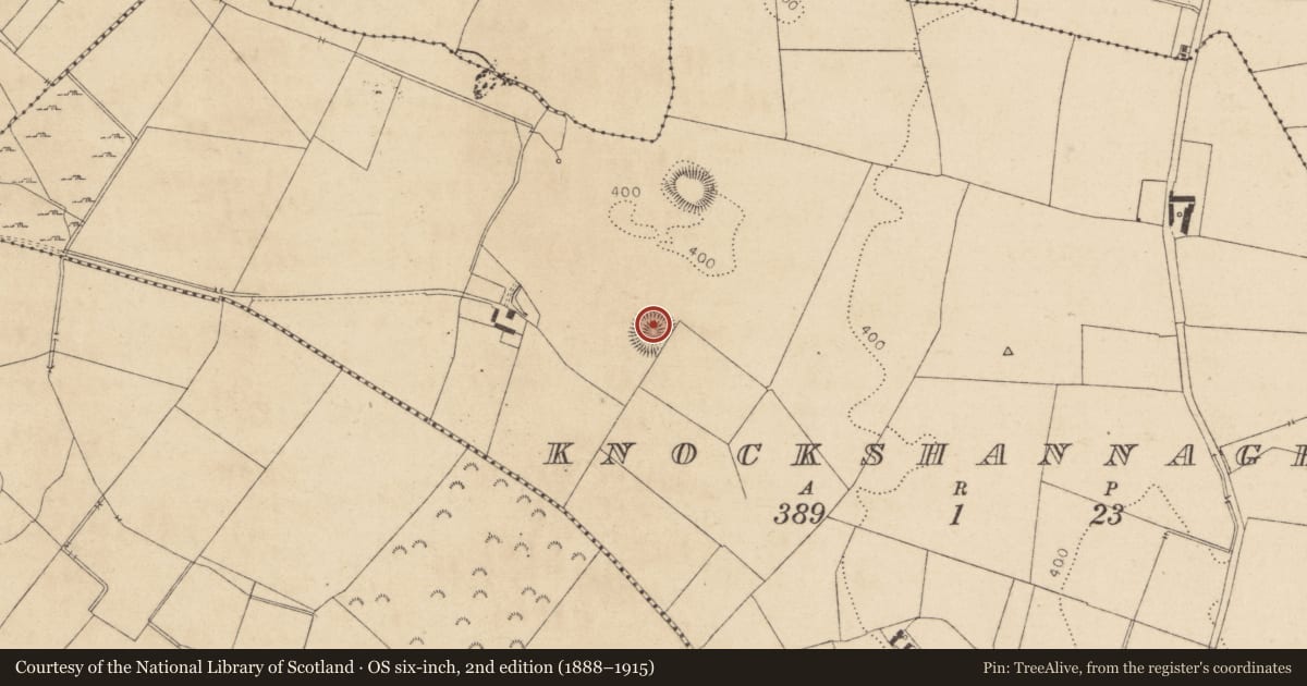 Ordnance Survey six-inch map, 2nd edition (1888–1915) covering the location of Ringfort - rath, Knockshannagh, County Kildare, with a pin at the register's coordinates