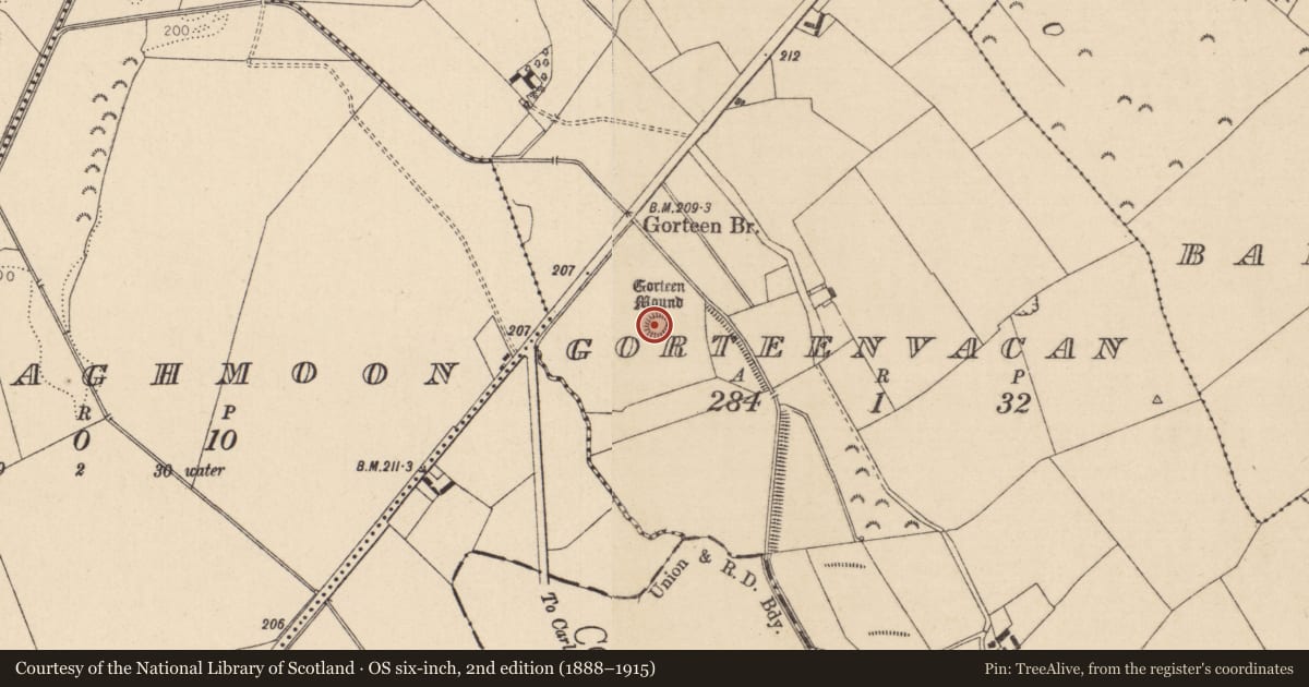 Ordnance Survey six-inch map, 2nd edition (1888–1915) covering the location of Castle - unclassified, Gorteenvacan, County Kildare, with a pin at the register's coordinates