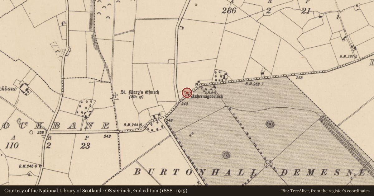 Ordnance Survey six-inch map, 2nd edition (1888–1915) covering the location of Burial ground, Ballyhade, County Kildare, with a pin at the register's coordinates