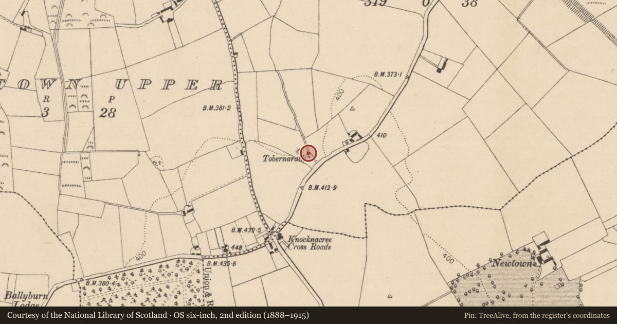 Ordnance Survey six-inch map, 2nd edition (1888–1915) covering the location of Well, Knocknacree, County Kildare, with a pin at the register's coordinates