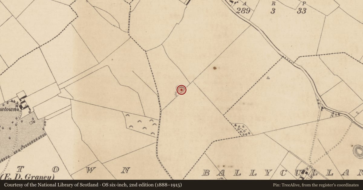 Ordnance Survey six-inch map, 2nd edition (1888–1915) covering the location of Enclosure, Ballycullane Upper, County Kildare, with a pin at the register's coordinates
