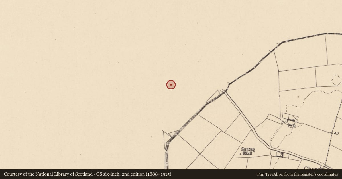 Ordnance Survey six-inch map, 2nd edition (1888–1915) covering the location of Ringfort - rath, Ballycullane Lower, County Kildare, with a pin at the register's coordinates
