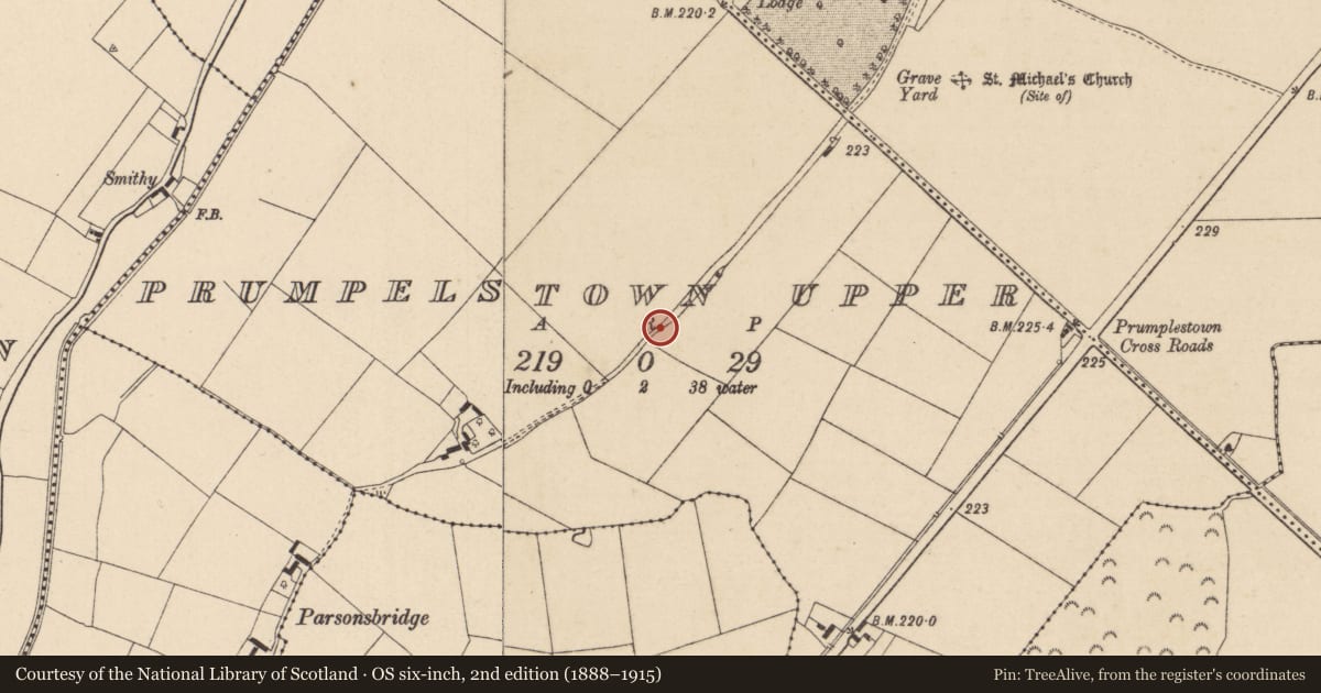 Ordnance Survey six-inch map, 2nd edition (1888–1915) covering the location of Enclosure, Prumpelstown Upper, County Kildare, with a pin at the register's coordinates