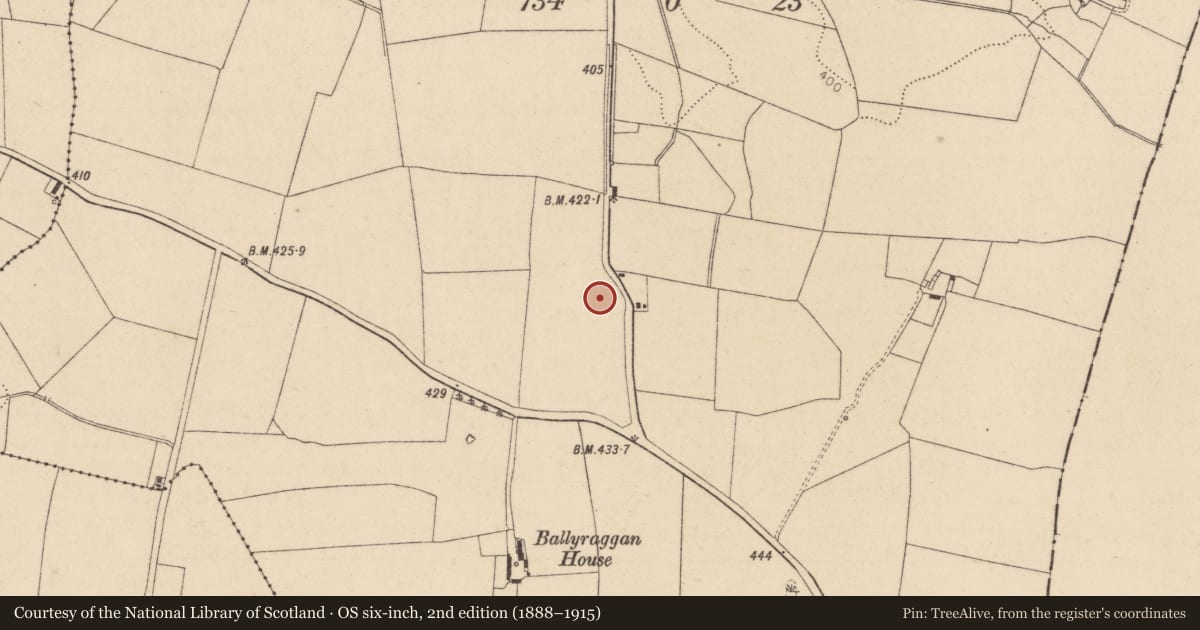 Ordnance Survey six-inch map, 2nd edition (1888–1915) covering the location of Standing stone, Ballyraggan, County Kildare, with a pin at the register's coordinates