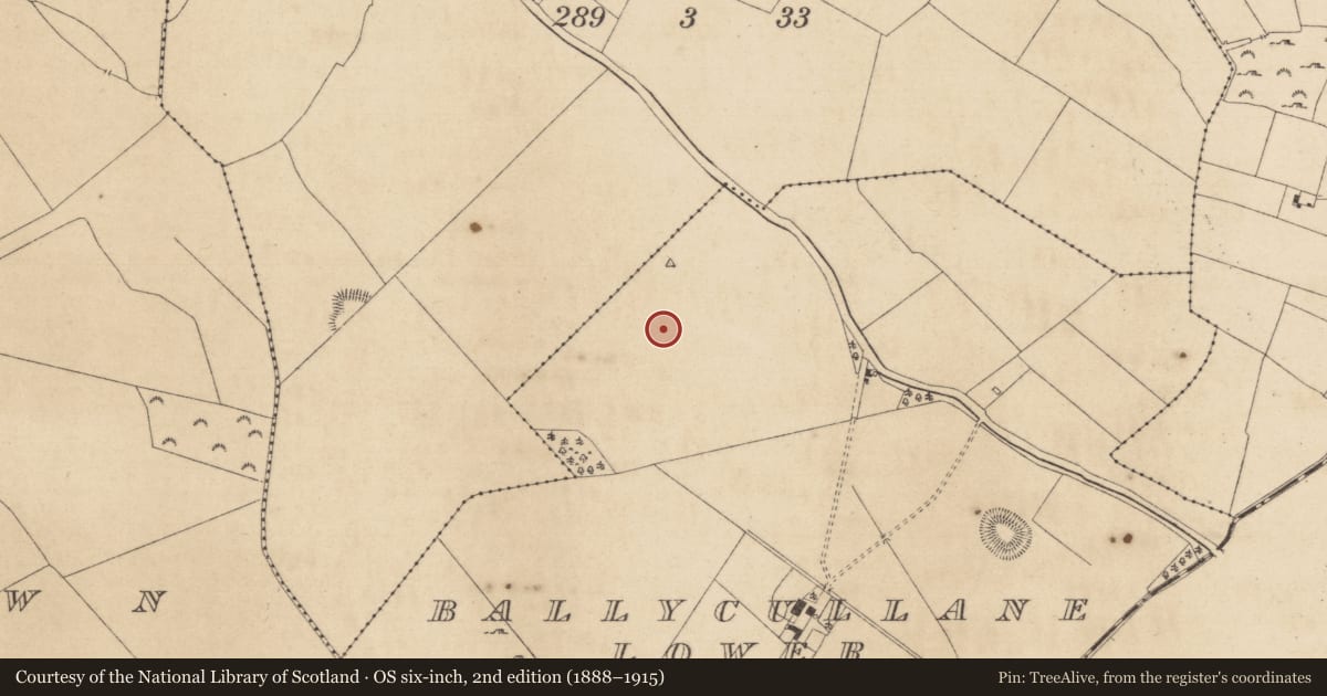 Ordnance Survey six-inch map, 2nd edition (1888–1915) covering the location of Enclosure, Ballycullane Lower, County Kildare, with a pin at the register's coordinates