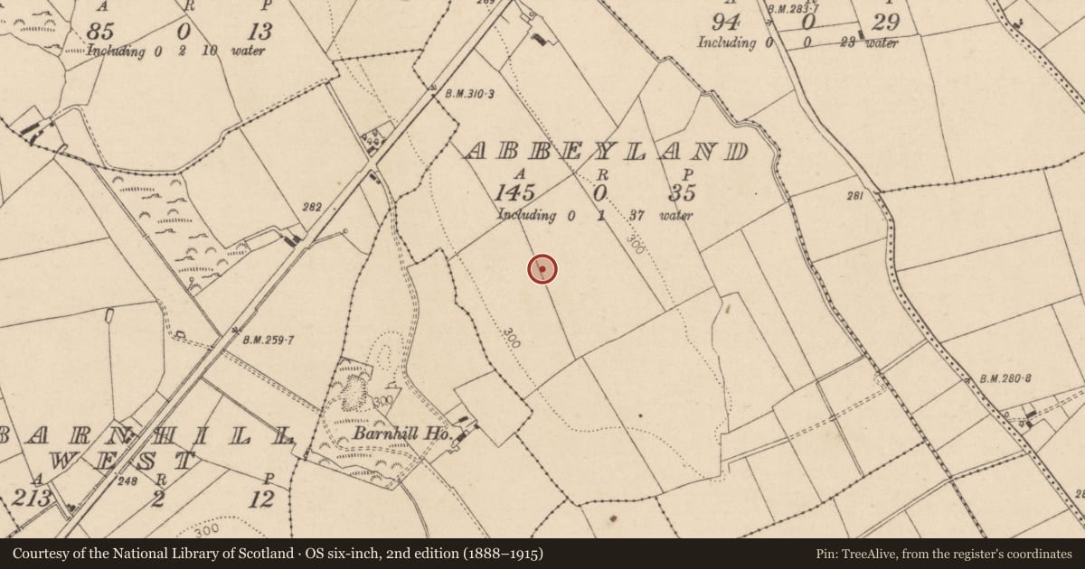 Ordnance Survey six-inch map, 2nd edition (1888–1915) covering the location of Enclosure, Abbeyland, County Kildare, with a pin at the register's coordinates