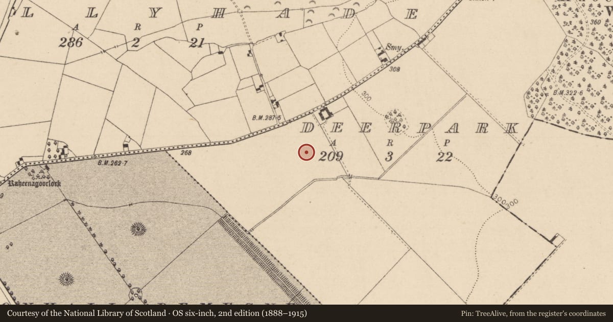 Ordnance Survey six-inch map, 2nd edition (1888–1915) covering the location of Enclosure, Deerpark, County Kildare, with a pin at the register's coordinates