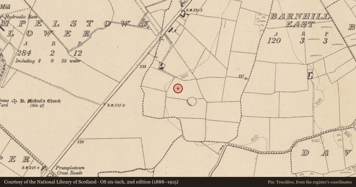 Ordnance Survey six-inch map, 2nd edition (1888–1915) covering the location of Enclosure, Barnhill West, County Kildare, with a pin at the register's coordinates