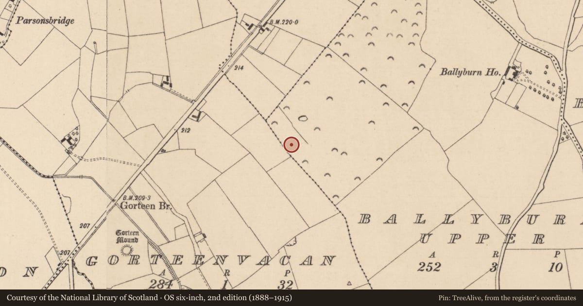 Ordnance Survey six-inch map, 2nd edition (1888–1915) covering the location of Enclosure, Gorteenvacan, County Kildare, with a pin at the register's coordinates