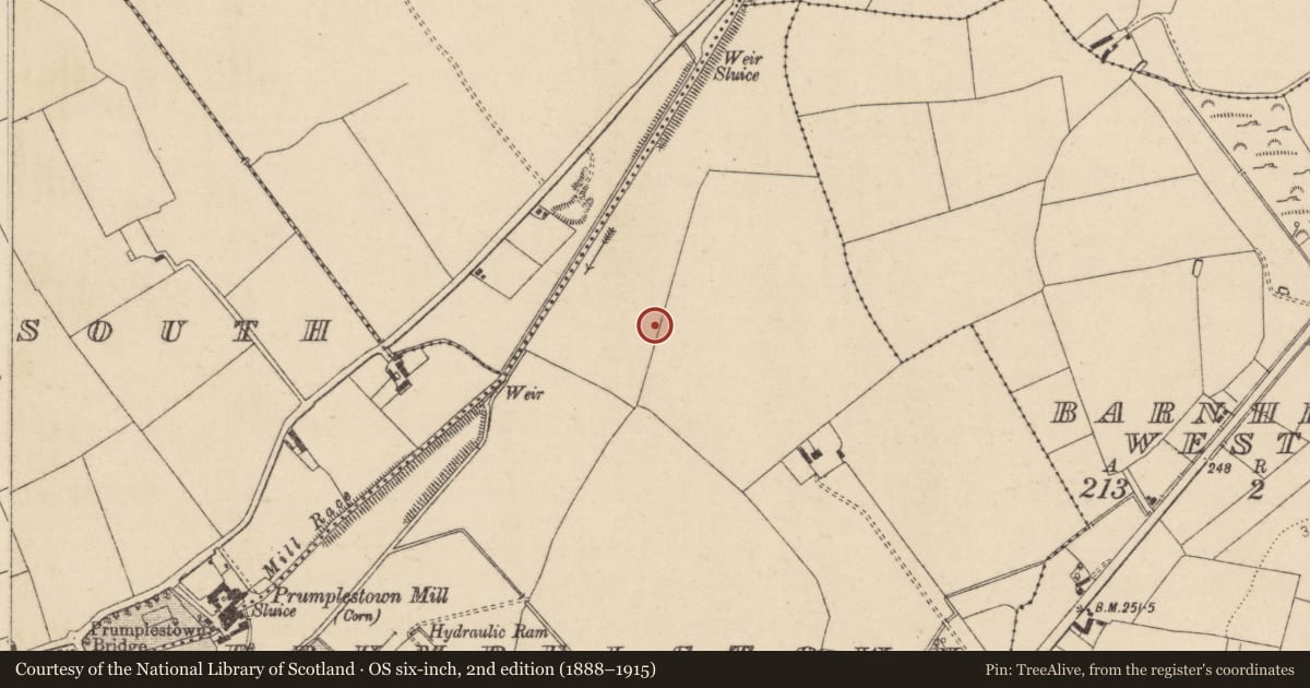 Ordnance Survey six-inch map, 2nd edition (1888–1915) covering the location of Ring-ditch, Prumpelstown Lower, County Kildare, with a pin at the register's coordinates