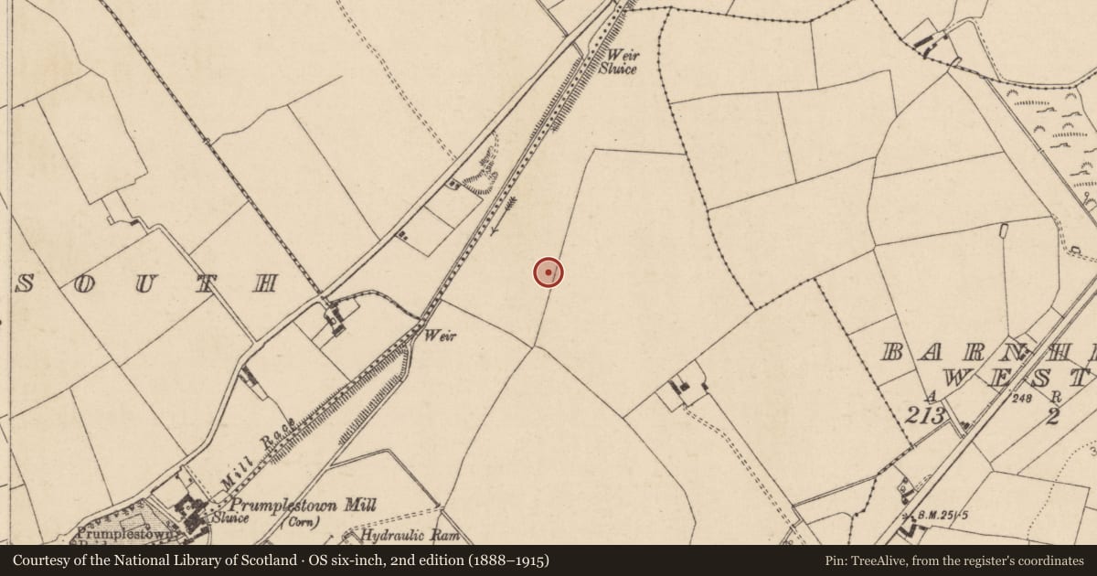 Ordnance Survey six-inch map, 2nd edition (1888–1915) covering the location of Ring-ditch, Prumpelstown Lower, County Kildare, with a pin at the register's coordinates
