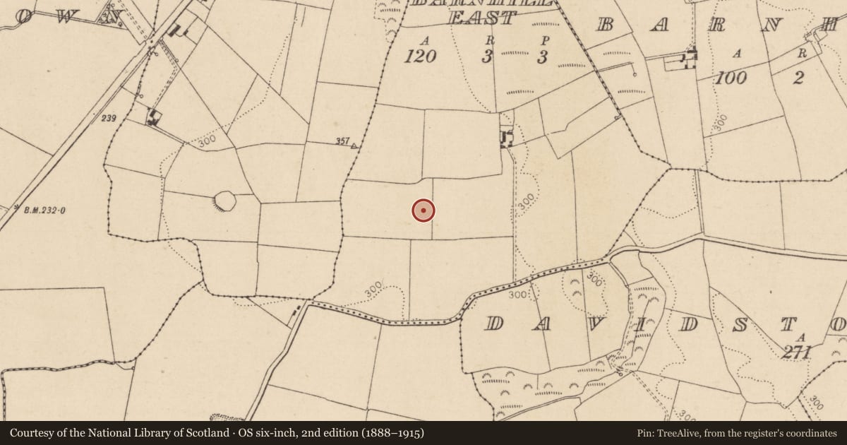 Ordnance Survey six-inch map, 2nd edition (1888–1915) covering the location of Enclosure, Barnhill East, County Kildare, with a pin at the register's coordinates