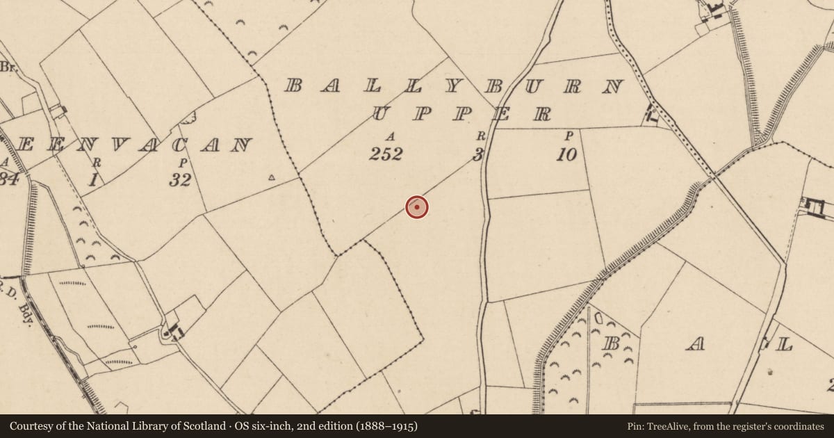 Ordnance Survey six-inch map, 2nd edition (1888–1915) covering the location of Field system, Ballyburn Upper, County Kildare, with a pin at the register's coordinates