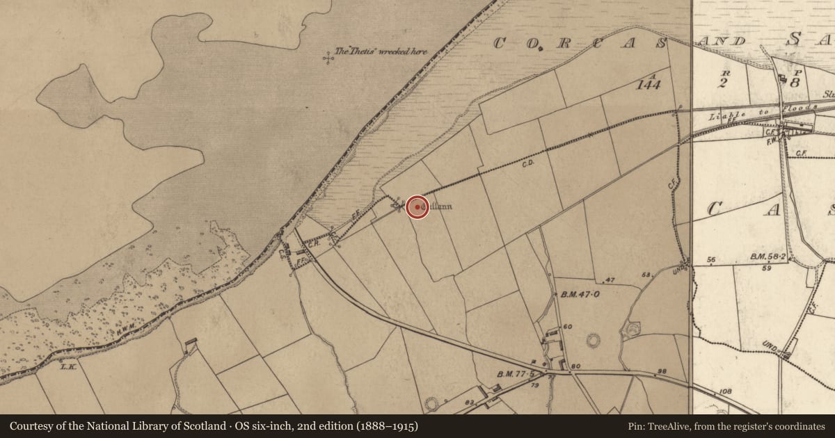 Ordnance Survey six-inch map, 2nd edition (1888–1915) covering the location of Standing stone, Beal East, County Kerry, with a pin at the register's coordinates