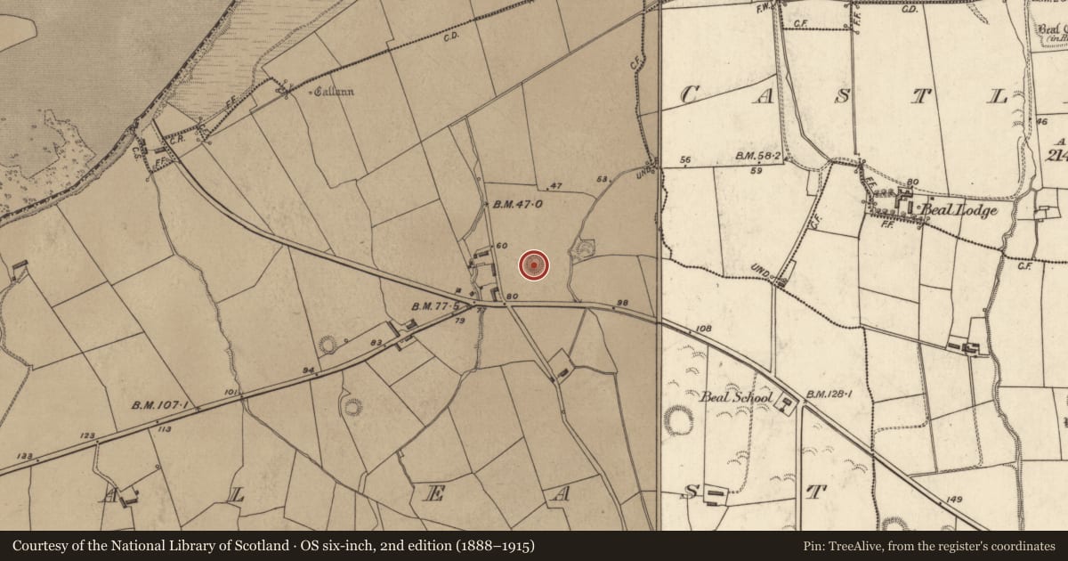 Ordnance Survey six-inch map, 2nd edition (1888–1915) covering the location of Ringfort - rath, Beal East, County Kerry, with a pin at the register's coordinates