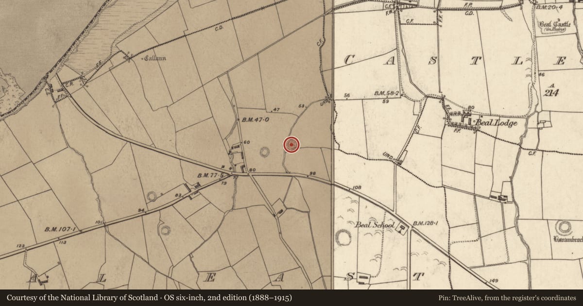 Ordnance Survey six-inch map, 2nd edition (1888–1915) covering the location of Ringfort - rath, Beal East, County Kerry, with a pin at the register's coordinates