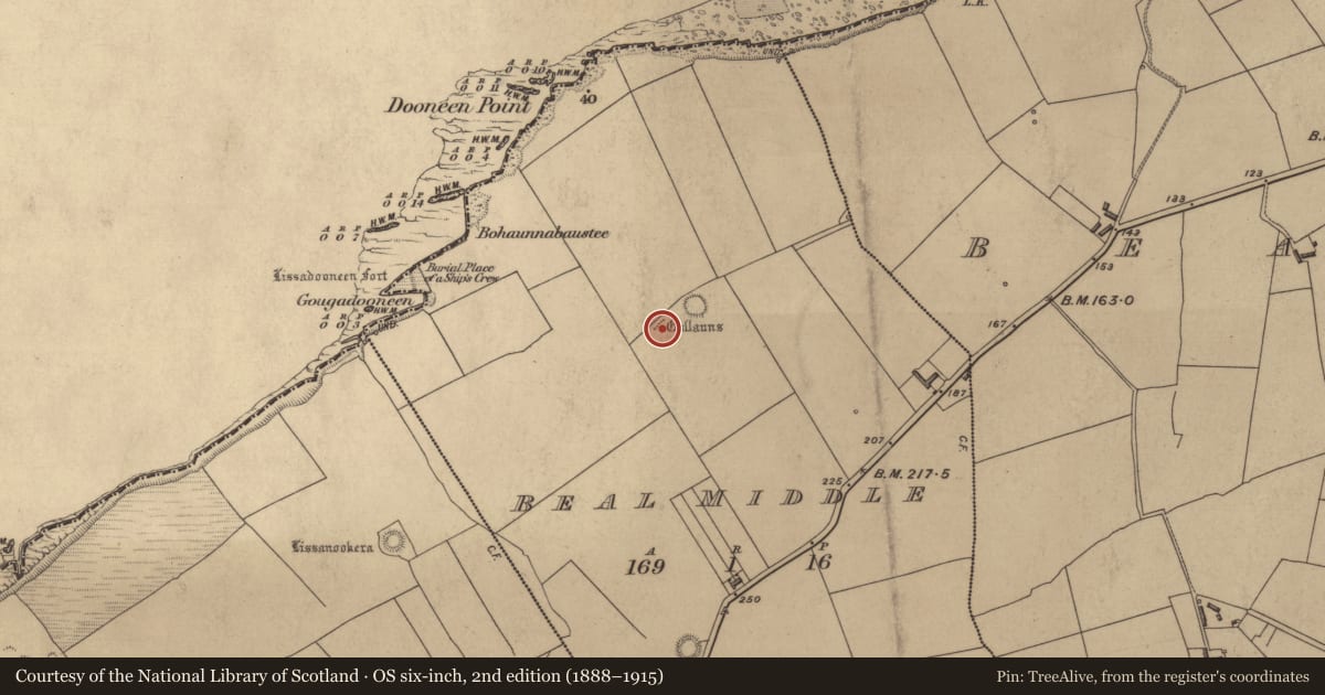 Ordnance Survey six-inch map, 2nd edition (1888–1915) covering the location of Stone row, Beal Middle, County Kerry, with a pin at the register's coordinates