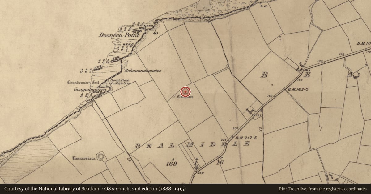 Ordnance Survey six-inch map, 2nd edition (1888–1915) covering the location of Ringfort - rath, Beal Middle, County Kerry, with a pin at the register's coordinates