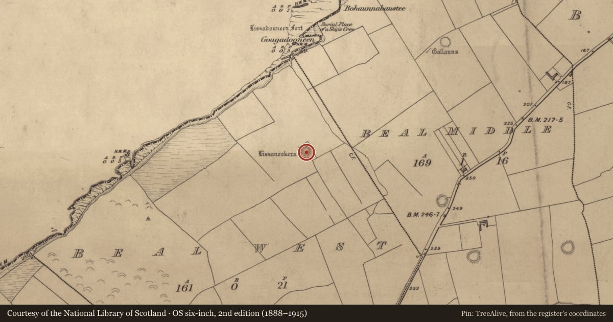 Ordnance Survey six-inch map, 2nd edition (1888–1915) covering the location of Ringfort - rath, Beal West, County Kerry, with a pin at the register's coordinates