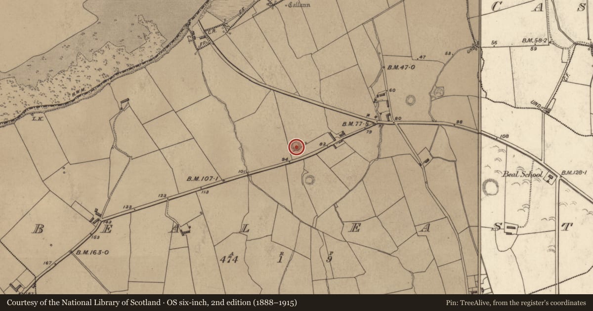 Ordnance Survey six-inch map, 2nd edition (1888–1915) covering the location of Ringfort - rath, Beal East, County Kerry, with a pin at the register's coordinates
