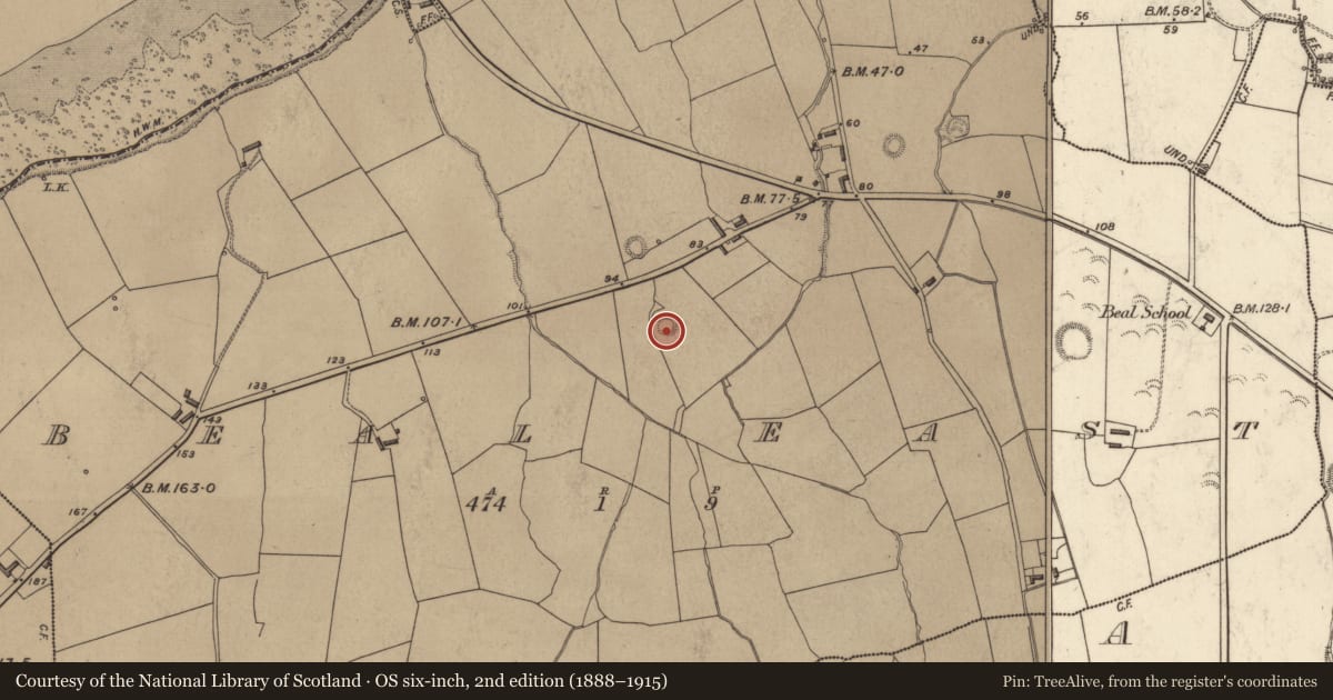 Ordnance Survey six-inch map, 2nd edition (1888–1915) covering the location of Ringfort - rath, Beal East, County Kerry, with a pin at the register's coordinates