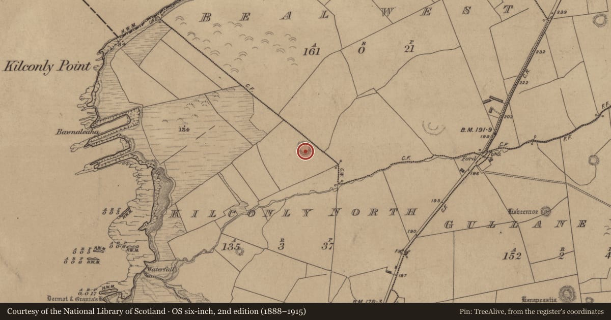 Ordnance Survey six-inch map, 2nd edition (1888–1915) covering the location of Enclosure, Kilconly North, County Kerry, with a pin at the register's coordinates