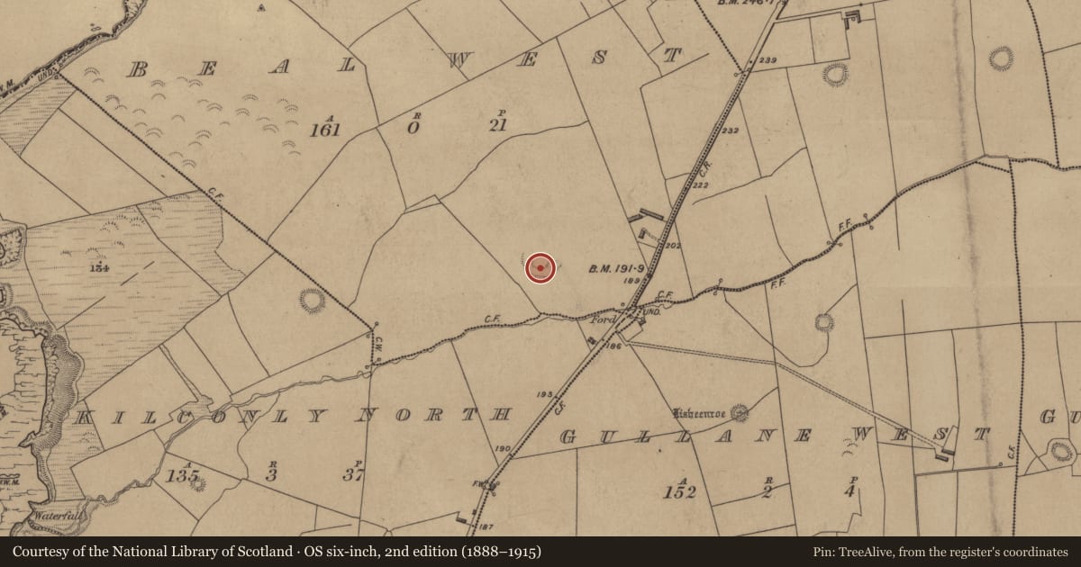Ordnance Survey six-inch map, 2nd edition (1888–1915) covering the location of Ringfort - rath, Beal West, County Kerry, with a pin at the register's coordinates