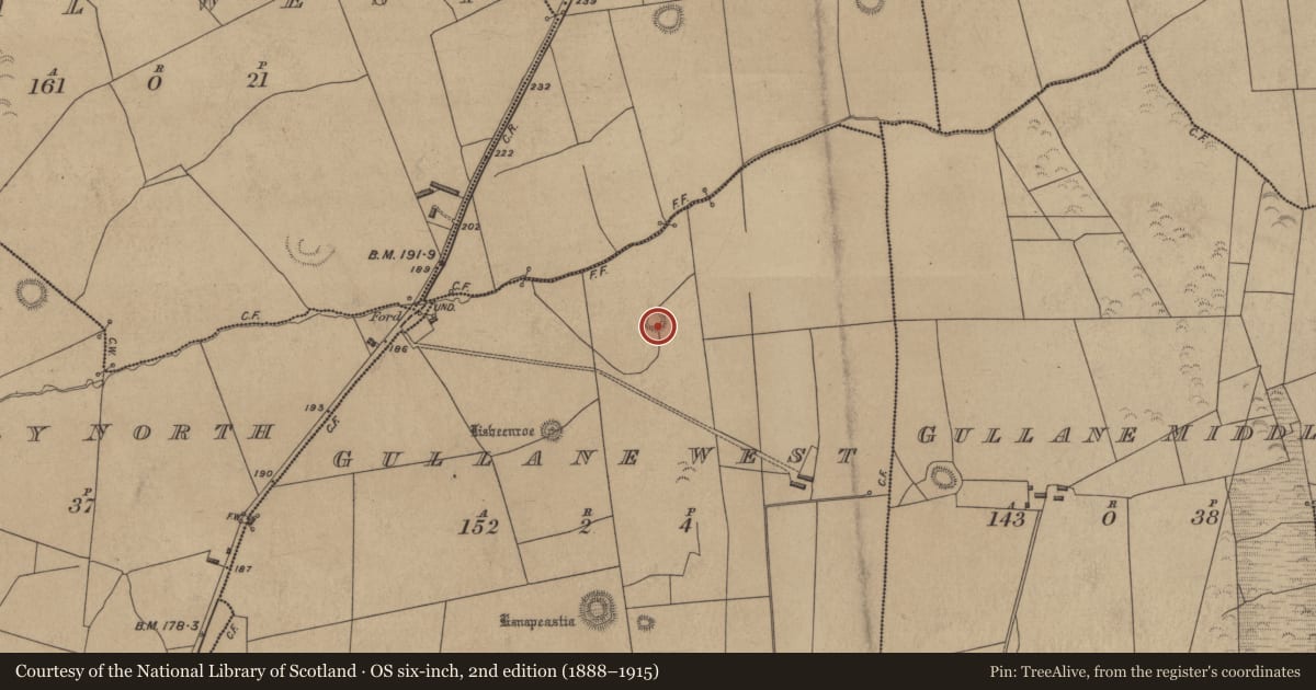 Ordnance Survey six-inch map, 2nd edition (1888–1915) covering the location of Enclosure, Gullane West, County Kerry, with a pin at the register's coordinates