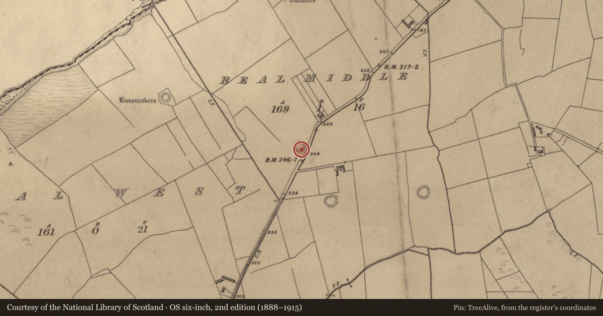Ordnance Survey six-inch map, 2nd edition (1888–1915) covering the location of Ringfort - rath, Beal Middle, County Kerry, with a pin at the register's coordinates