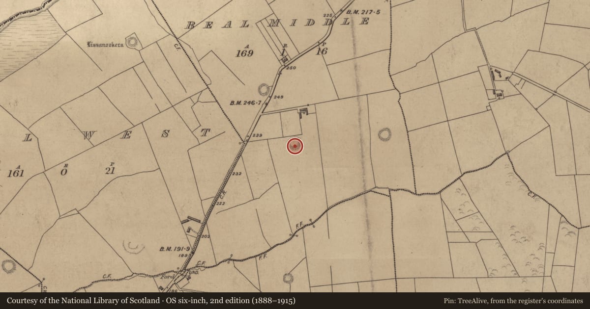 Ordnance Survey six-inch map, 2nd edition (1888–1915) covering the location of Ringfort - rath, Beal Middle, County Kerry, with a pin at the register's coordinates