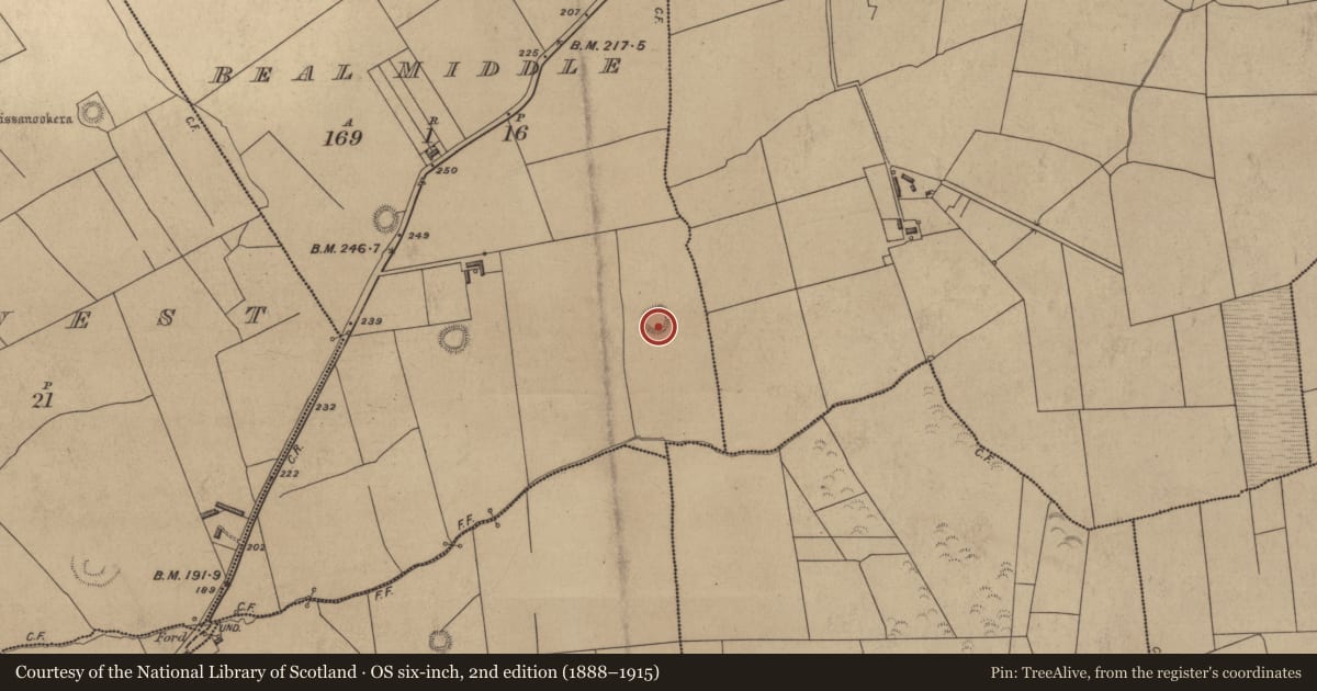 Ordnance Survey six-inch map, 2nd edition (1888–1915) covering the location of Ringfort - rath, Beal Middle, County Kerry, with a pin at the register's coordinates
