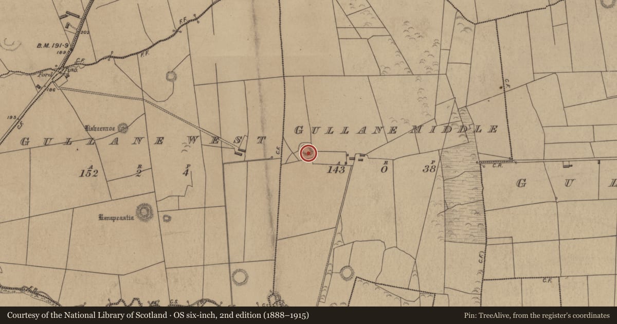Ordnance Survey six-inch map, 2nd edition (1888–1915) covering the location of Enclosure, Gullane Middle, County Kerry, with a pin at the register's coordinates