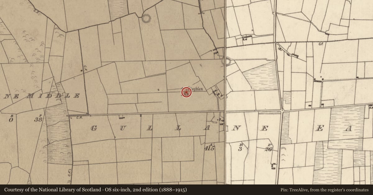 Ordnance Survey six-inch map, 2nd edition (1888–1915) covering the location of Standing stone, Gullane East, County Kerry, with a pin at the register's coordinates